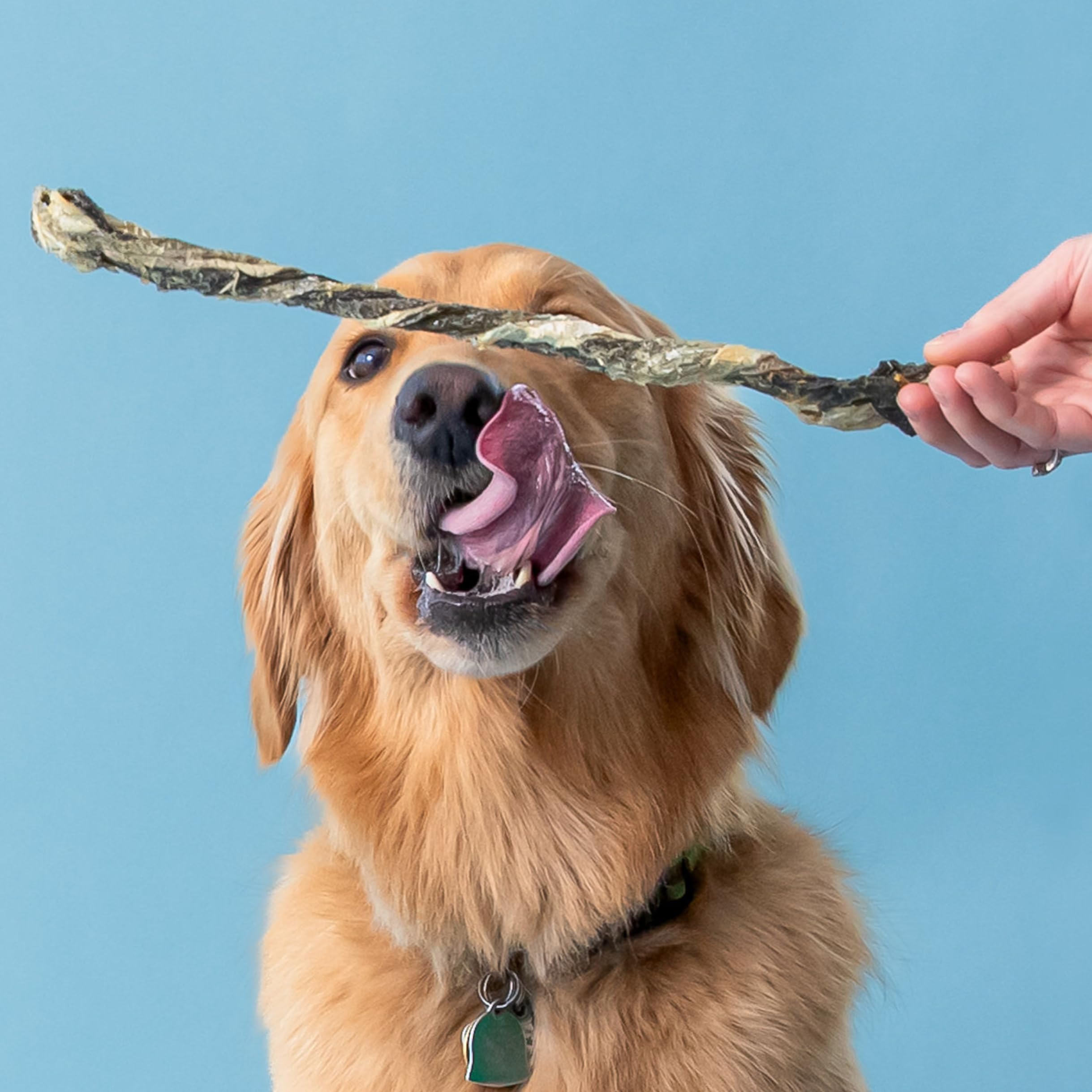 Polkadog Cod Skins sustainability image: 1% for the Planet donation to environmental nonprofits.