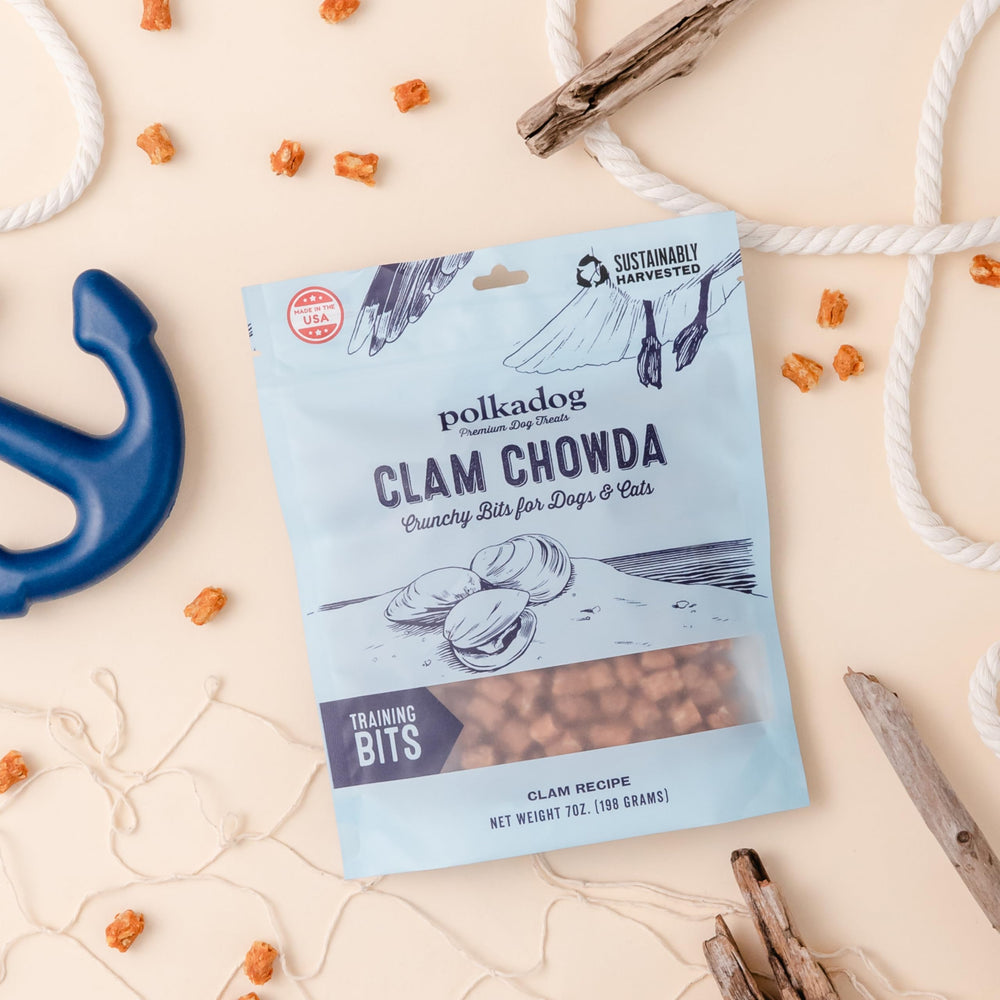 Polkadog locally sourced ingredients from Boston kitchen highlight freshness.