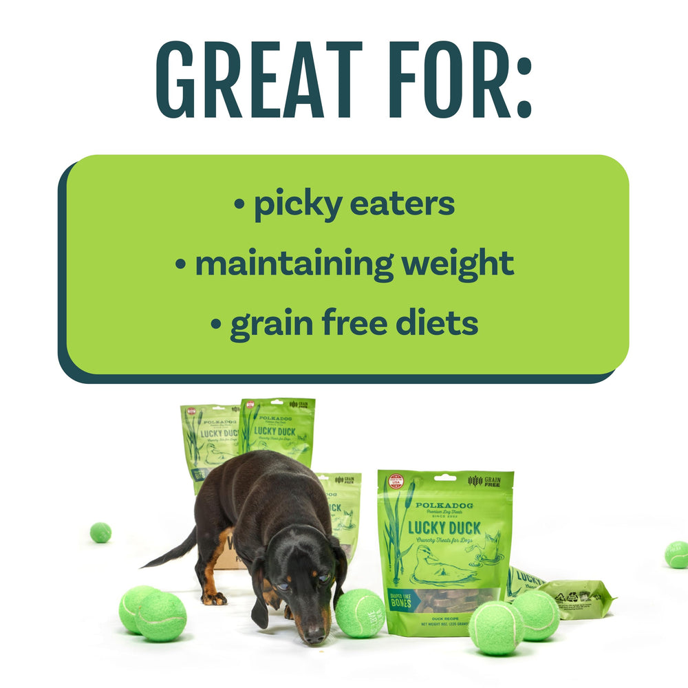 Polkadog Lucky Duck grain-free formula supports digestion and is suited for allergy-sensitive pets.