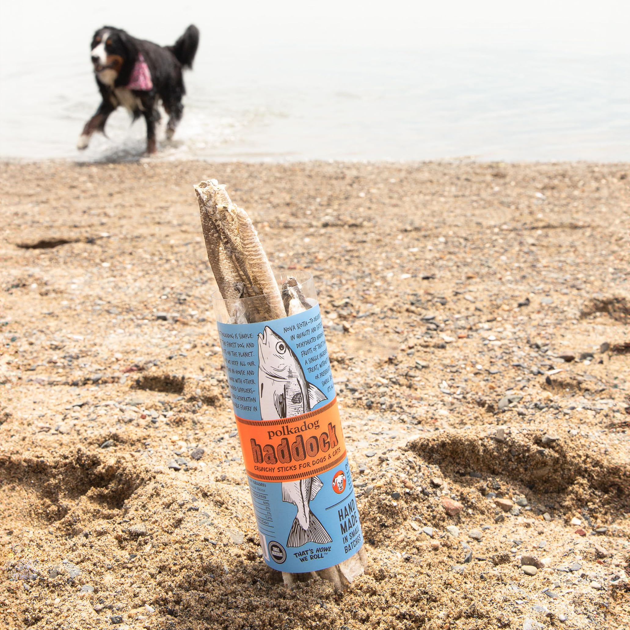 Polkadog New England waters image emphasizes traceable, zero-waste ingredients for pet treats.