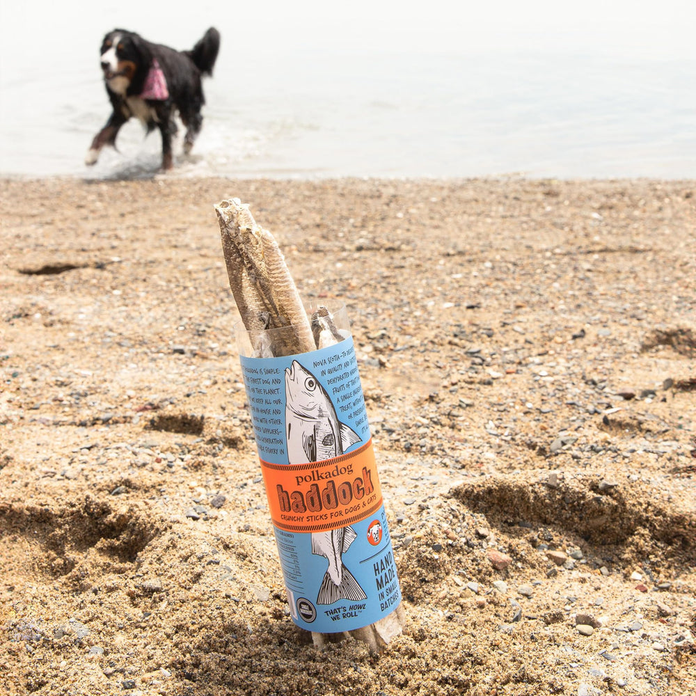 Polkadog New England waters image emphasizes traceable, zero-waste ingredients for pet treats.
