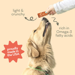 Polkadog Salmon chip closeup—crunchy texture for delicious training rewards