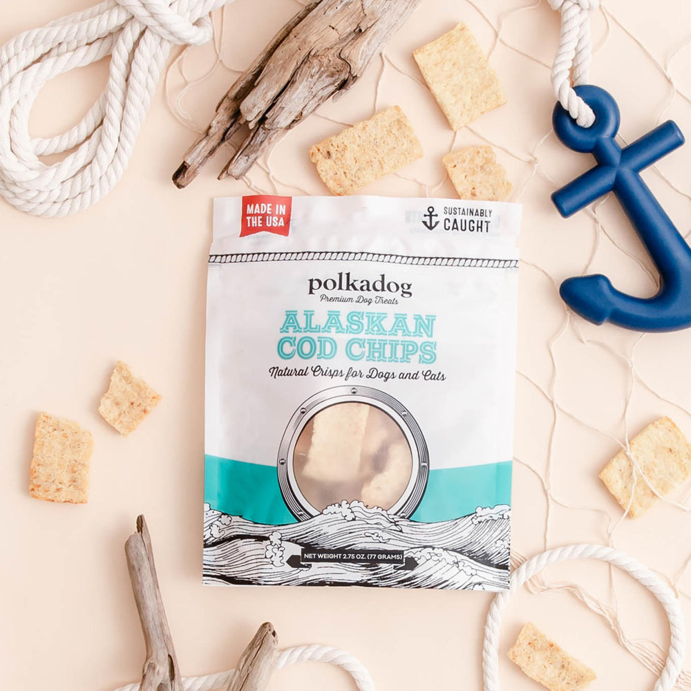 Polkadog snack-time with dog—crunchy chips served in bowl for daily rewards