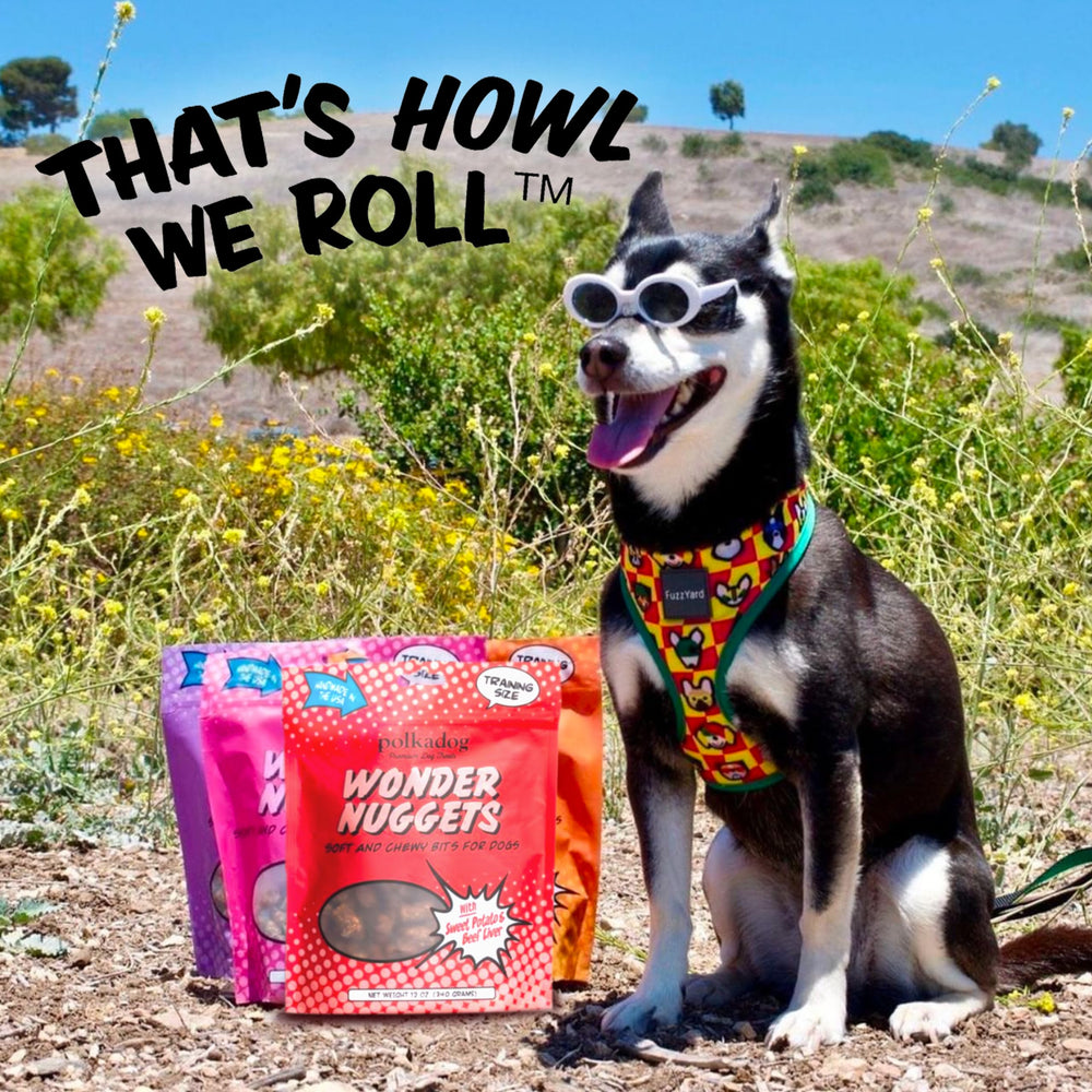 Polkadog Wonder Nuggets ingredients shot emphasizing beef and sweet potato for wholesome snacking.