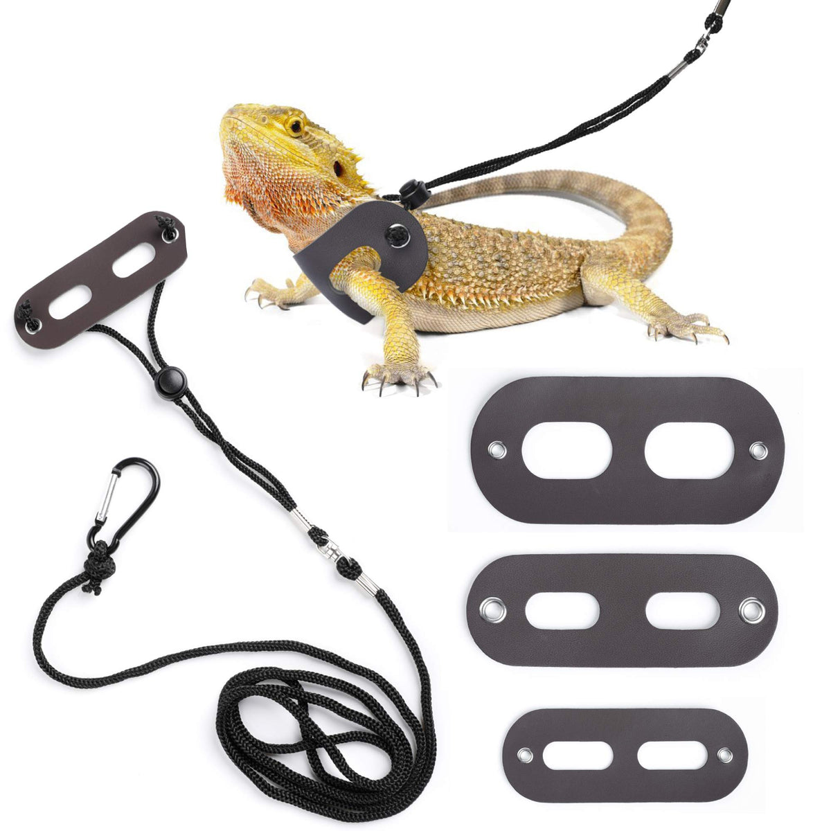 POLKASTORE Bearded Dragon Harness 3pack adjustable sizes for safe outdoor walks.