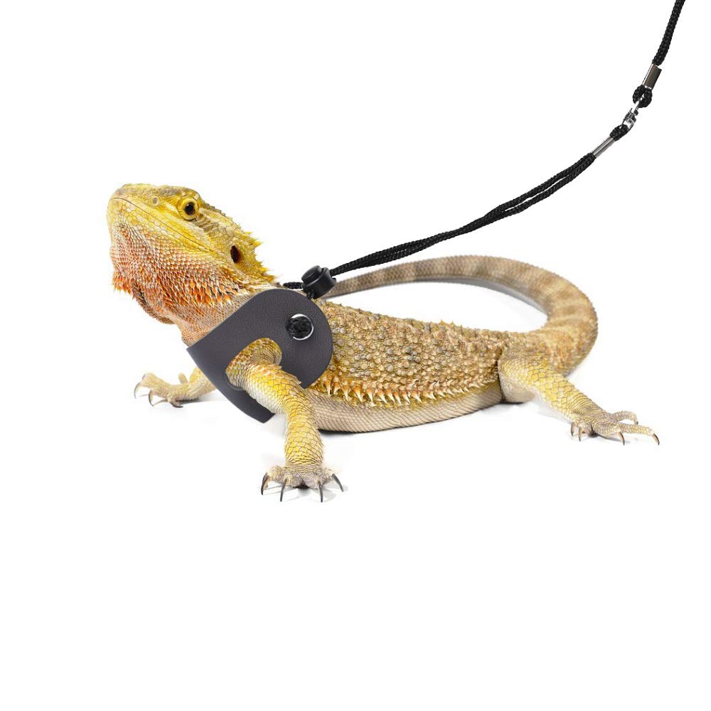 POLKASTORE Versatile reptile harness use for different tiny pets.