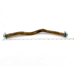 Polly's full-length hardwood bird perch 14-inch — sturdy resting perch for active birds.