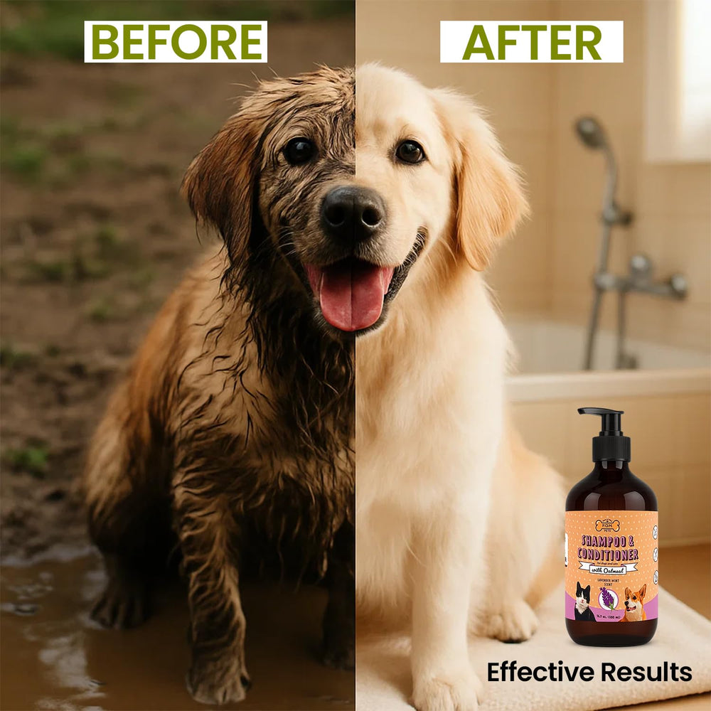 P.O.M. PETS paw cleaner action shows cleansing without harsh residues.