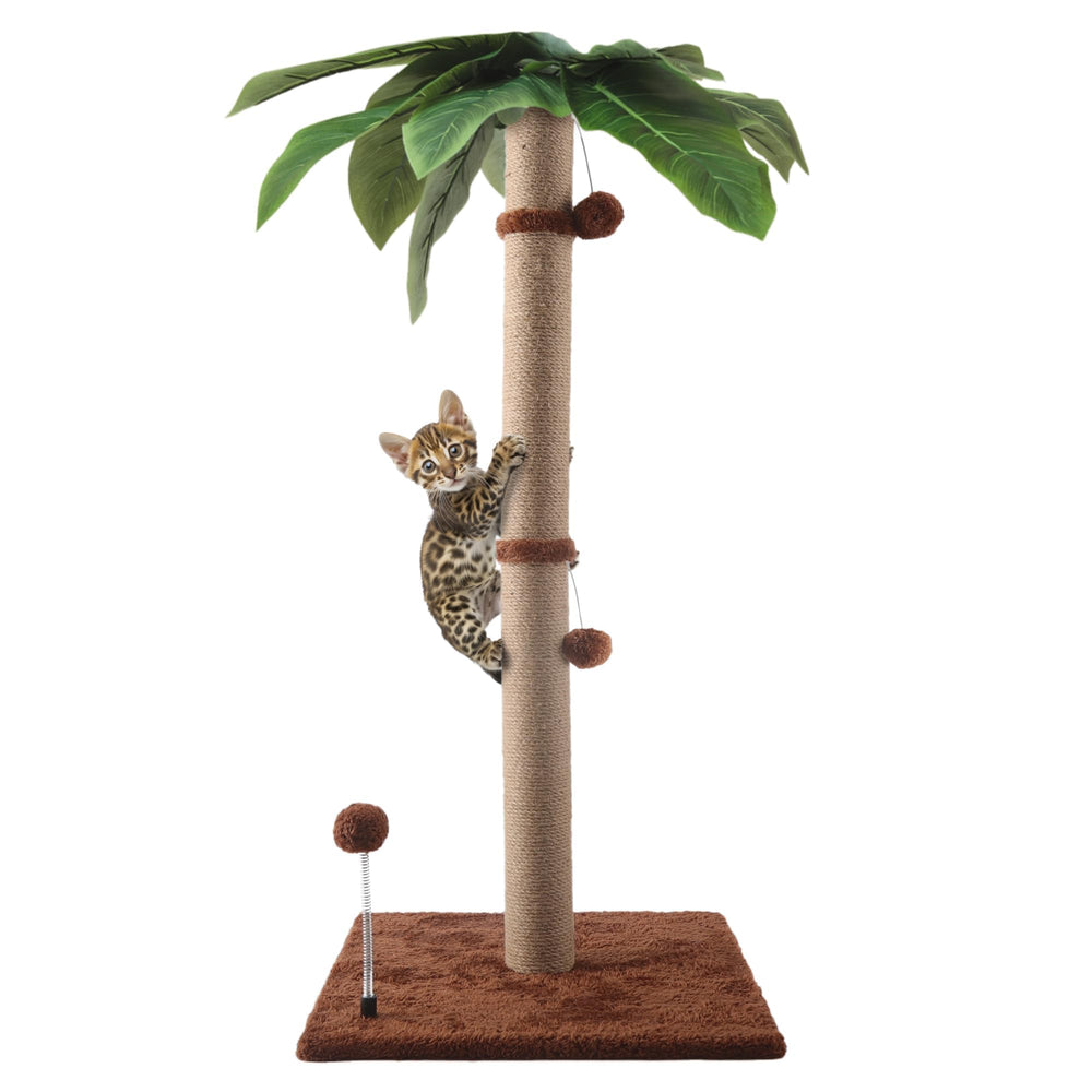 Pomesea cat scratching post 34in tall provides a sturdy tall perch for scratching and lounging.