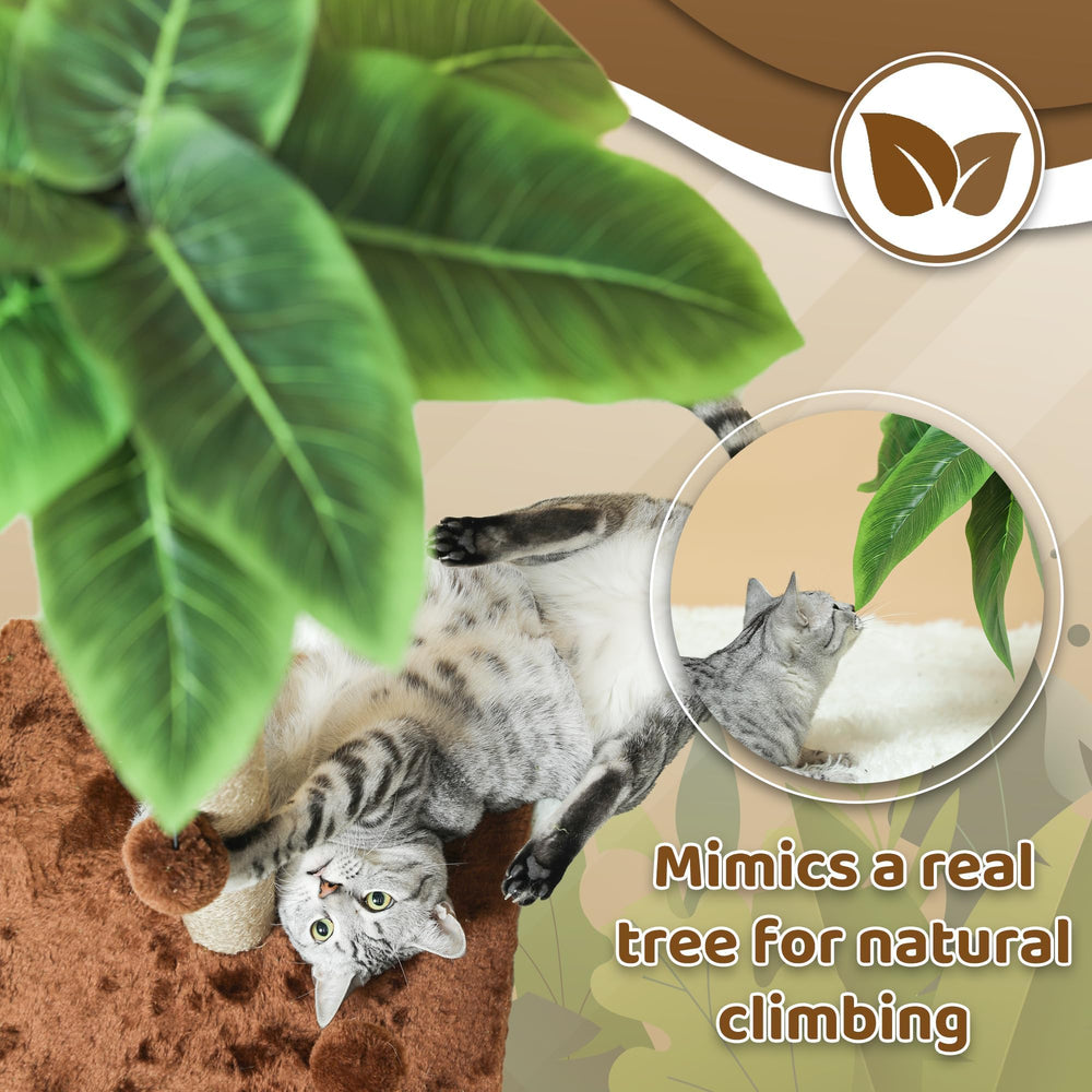 Pomesea cat scratching post in living room encourages climbing, lounging, and regular claw care.
