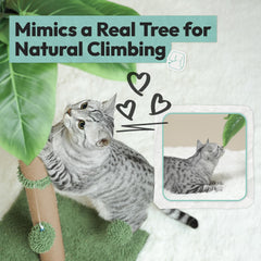 Pomesea cat scratching post reinforced base keeps cats steady during enthusiastic scratching.