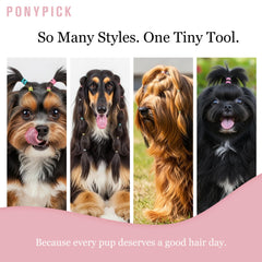 Pony Pick dog-bow removal shot emphasizes neat, stress-free styling for pets.