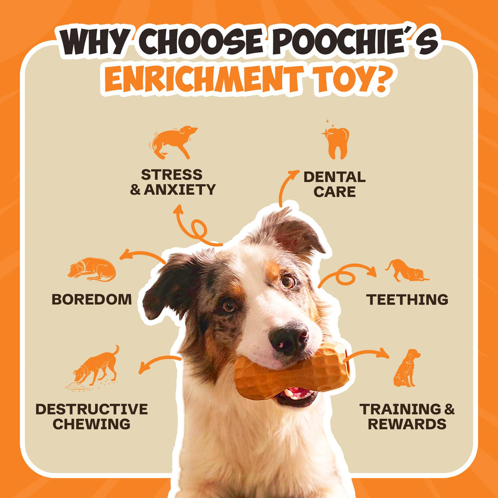 Poochie Butter crate-training teething toy shown for indoor play and puppy routines