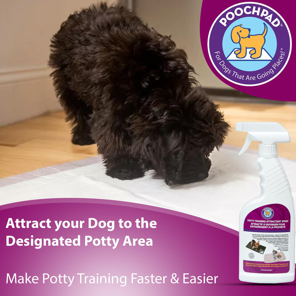 PoochPad used on artificial turf with spray for versatile surfaces.