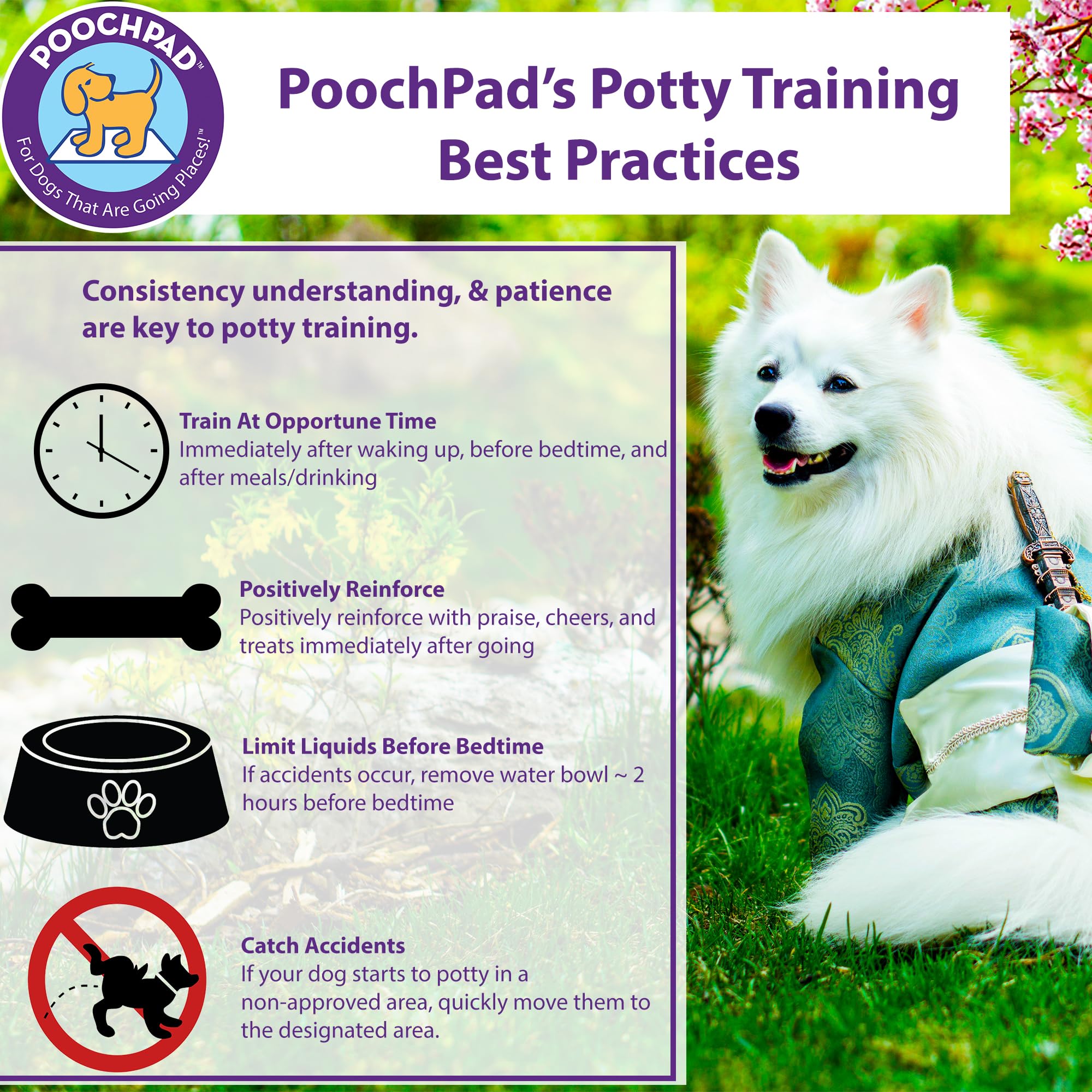 PoochPad outdoor grass application shows area-specific attractant use.