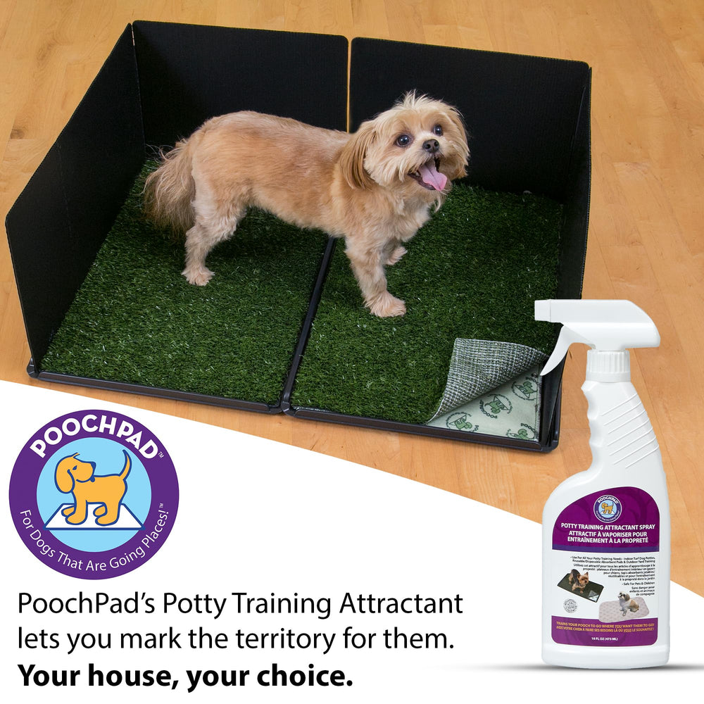 PoochPad puppy potty-area with attractant encourages daytime housebreaking.