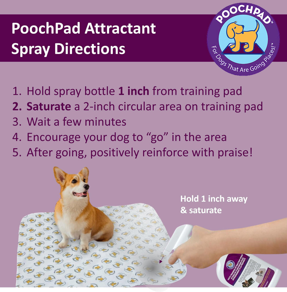 PoochPad training pad setup demonstrates targeted application.