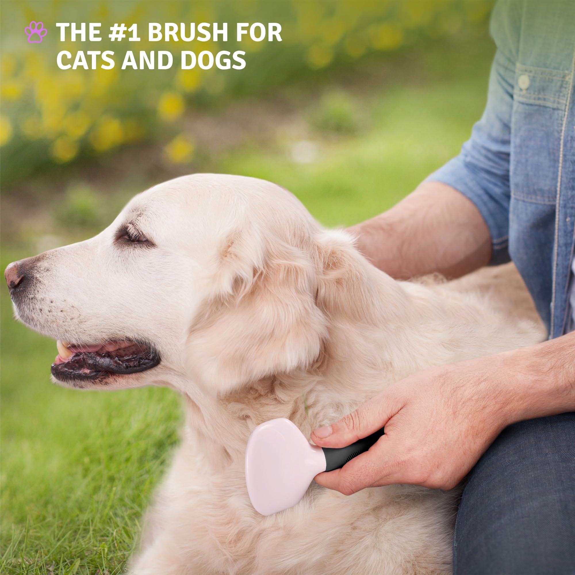POODLIE Poodle Pet Slicker Brush-grooming-session: comfortable routine for pets and owners
