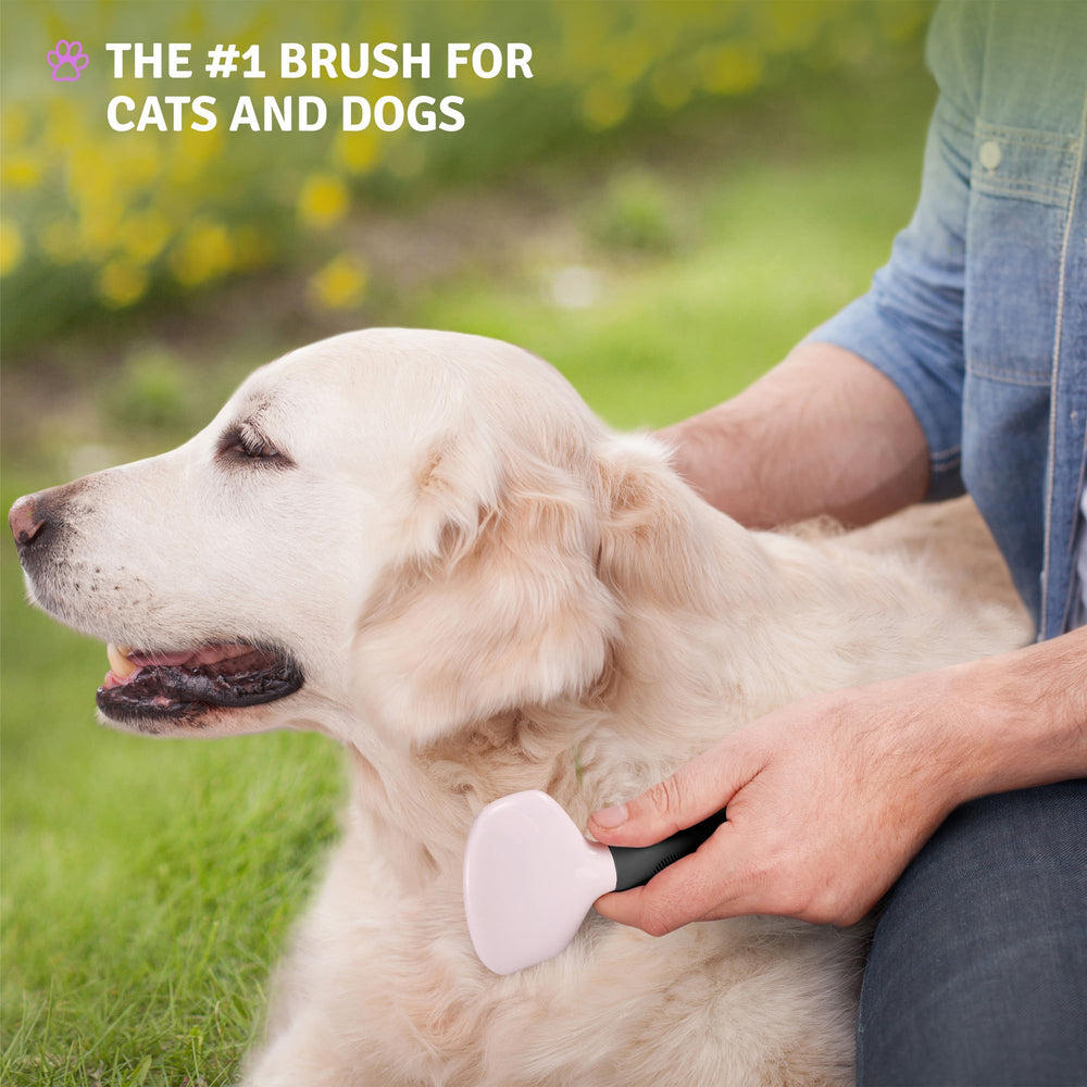 POODLIE Poodle Pet Slicker Brush-grooming-session: comfortable routine for pets and owners