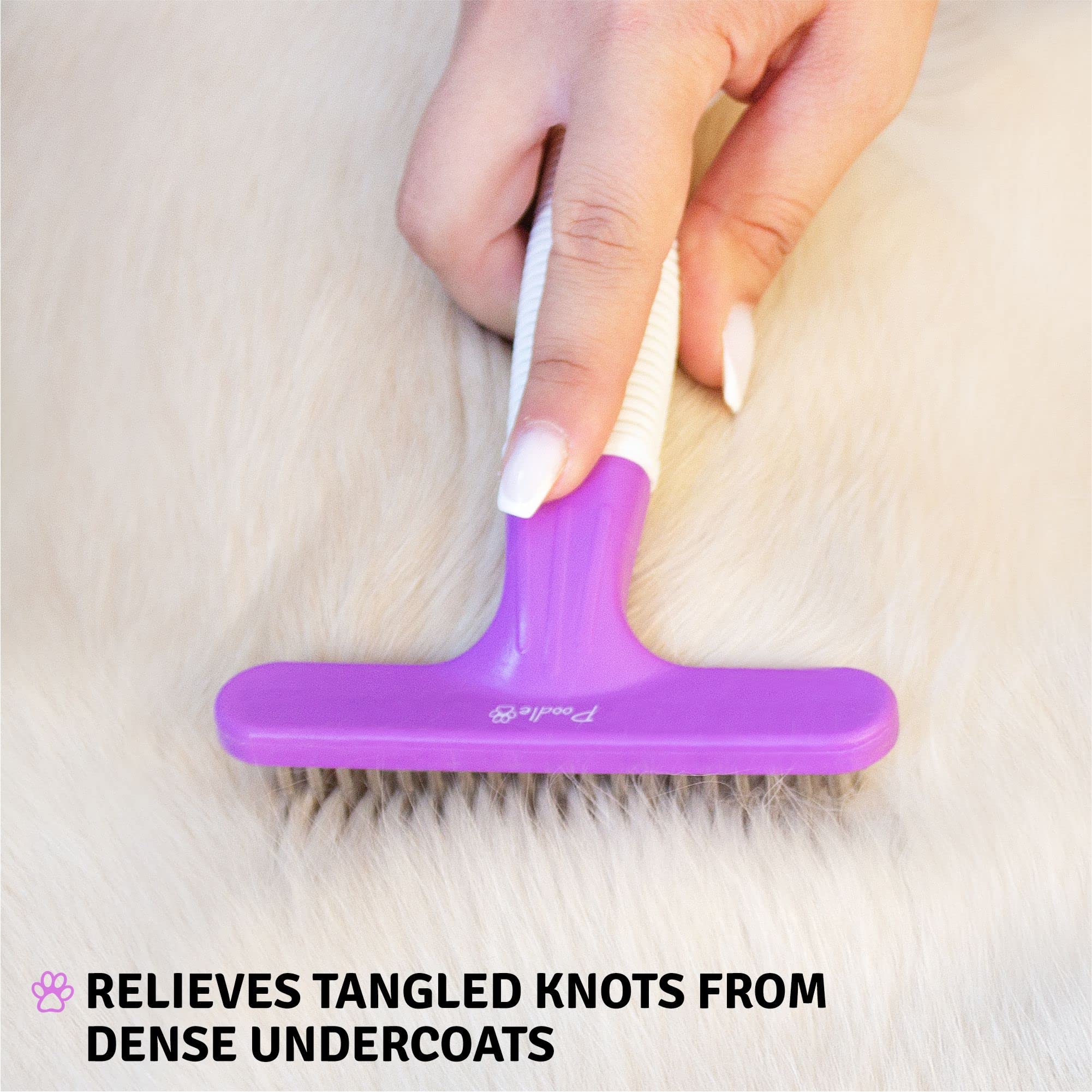 POODLIE Poodle Pet Grooming Rake dog coat session captures steady grooming rhythm.