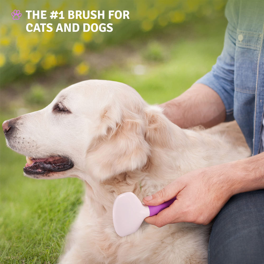 POODLIE Poodle Pet Slicker Brush easy clean design for quick maintenance