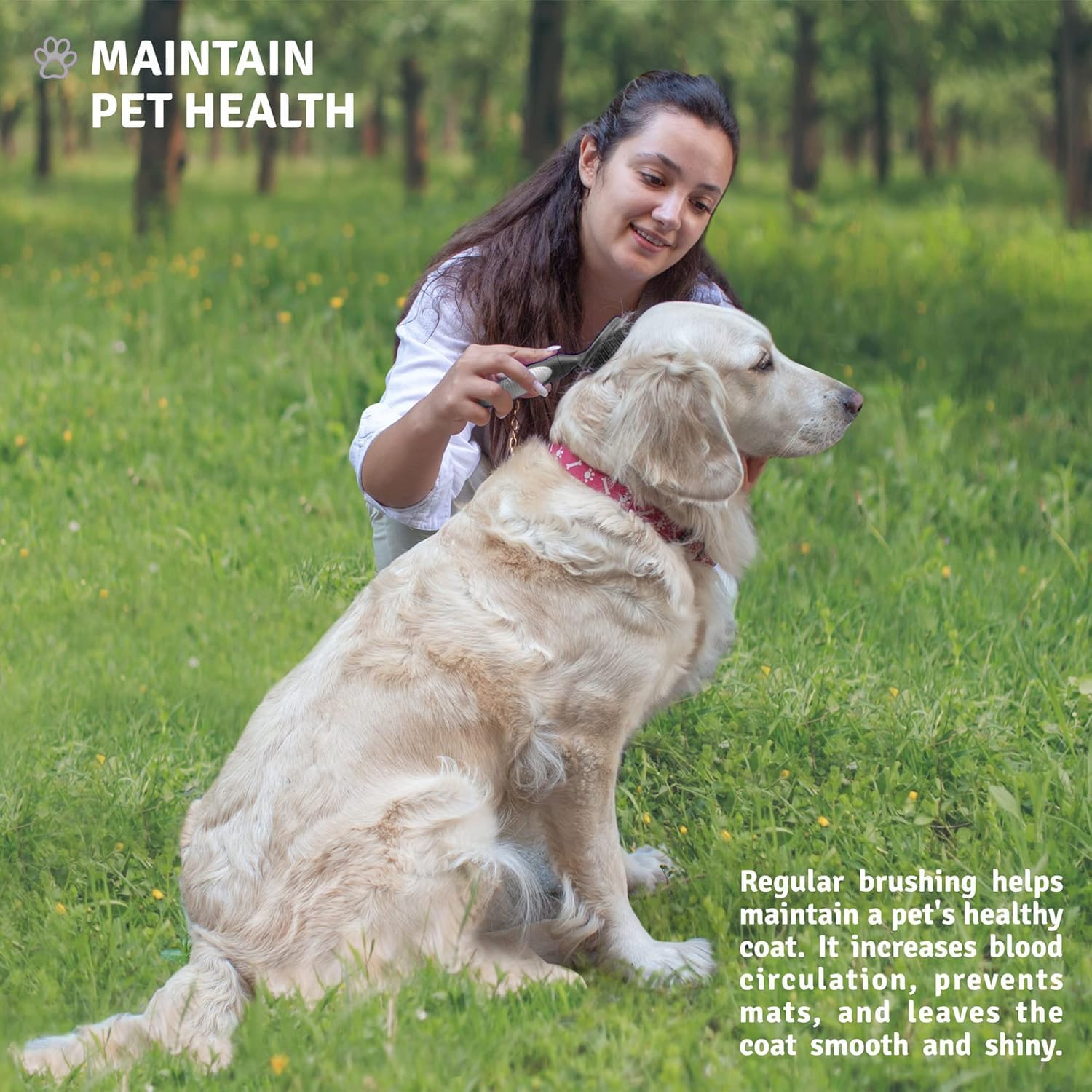 POODLIE Round Bristle Brush coat smoothing for a sleek, healthy look.