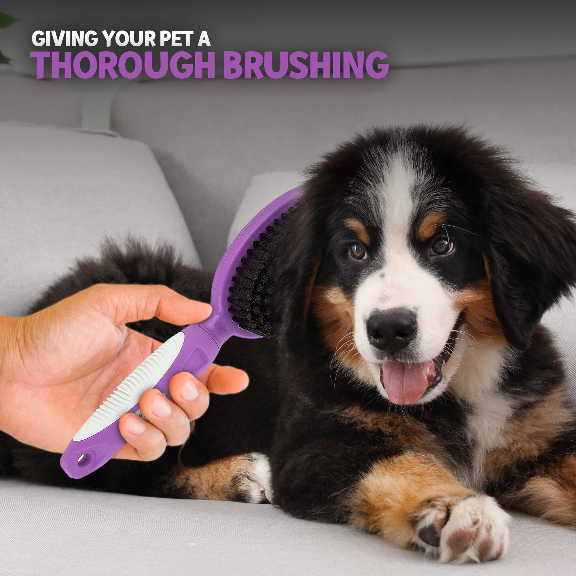 POODLIE Soft Bristle Brush durable bristles emphasize long-lasting grooming tool