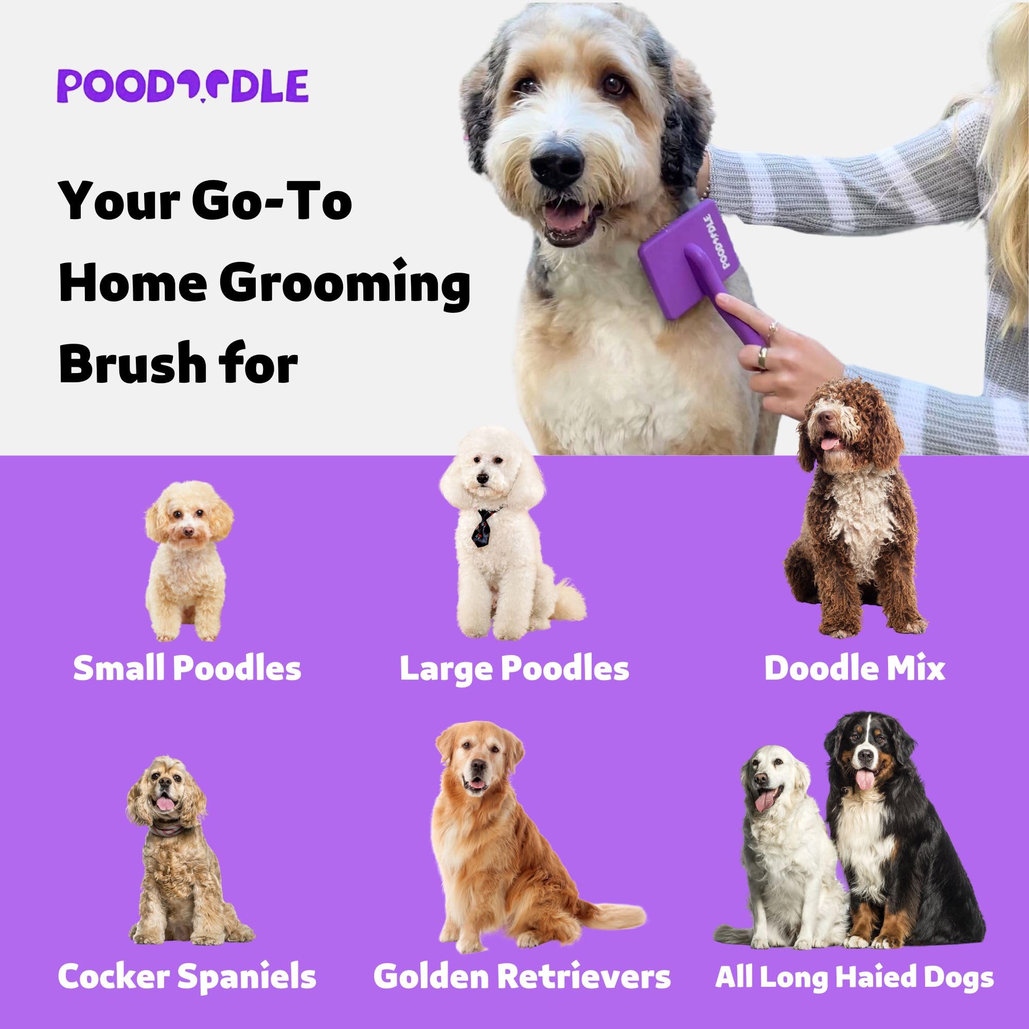Poodoodle Small Slicker Brush perfect for at-home grooming sessions with doodle breeds.