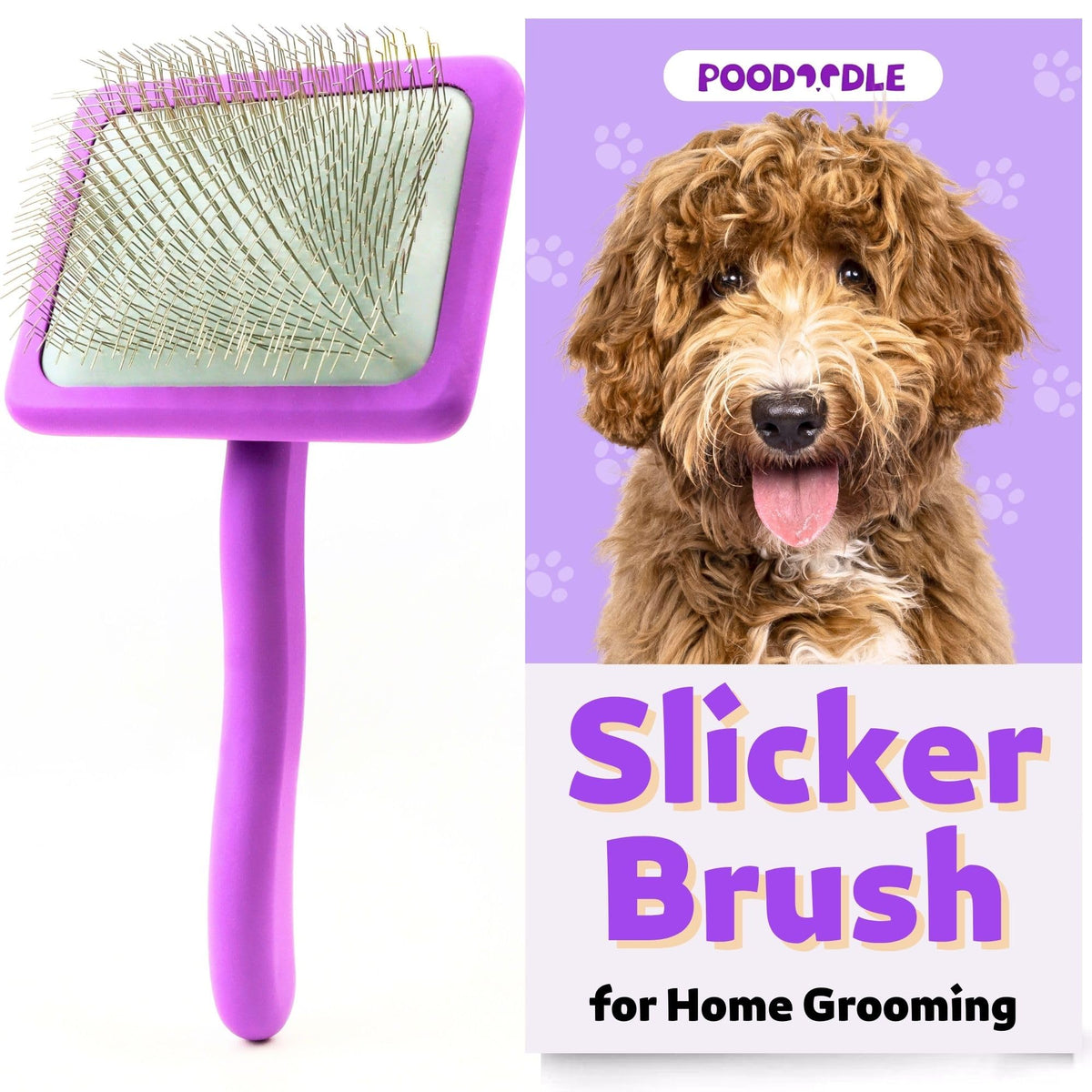 Poodoodle Small Slicker Brush purple-handle closeup for gentle curly-coat detangling.