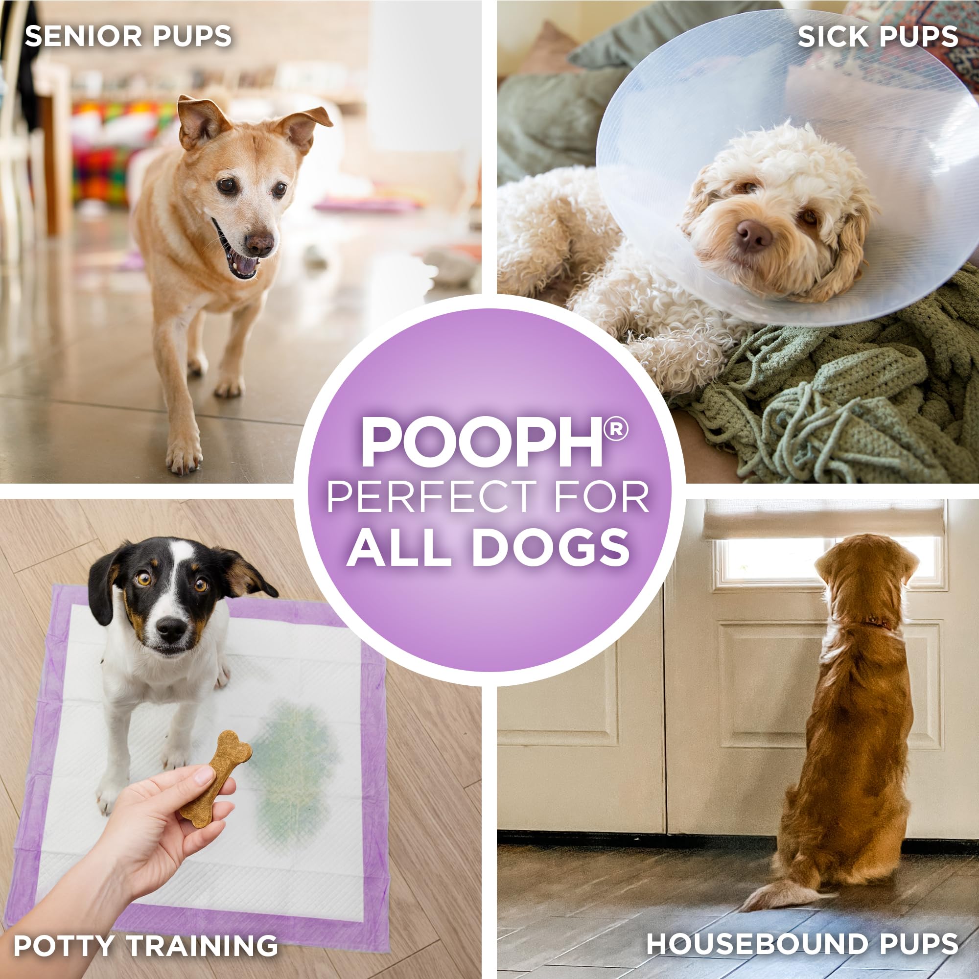 POOPH Potty Pad supports seniors with reliable protection and easy cleanup