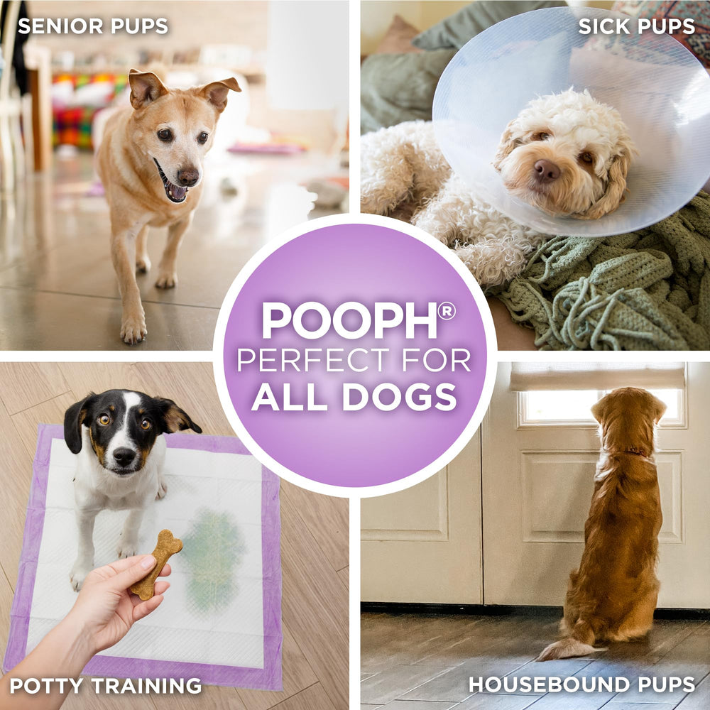 POOPH Potty Pad supports seniors with reliable protection and easy cleanup