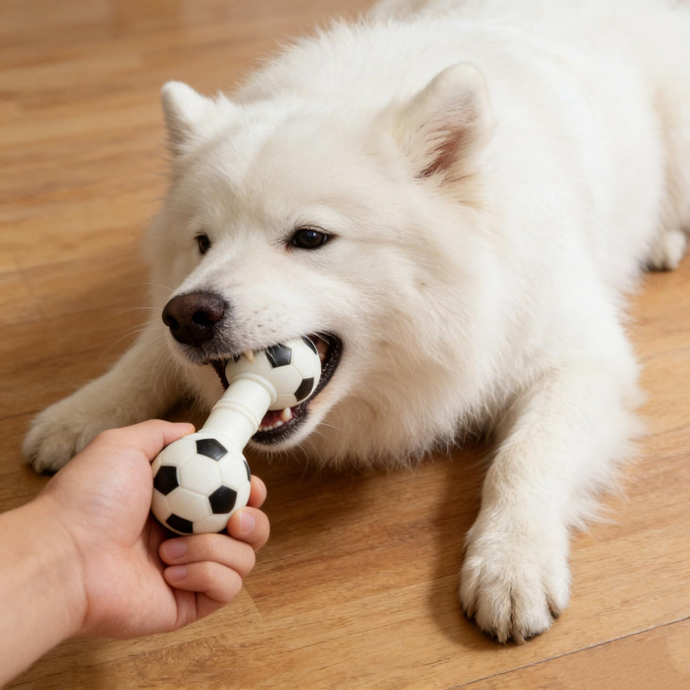 POPETPOP dog squeaky barbell toy adds interactive play and stress-relief squeaks
