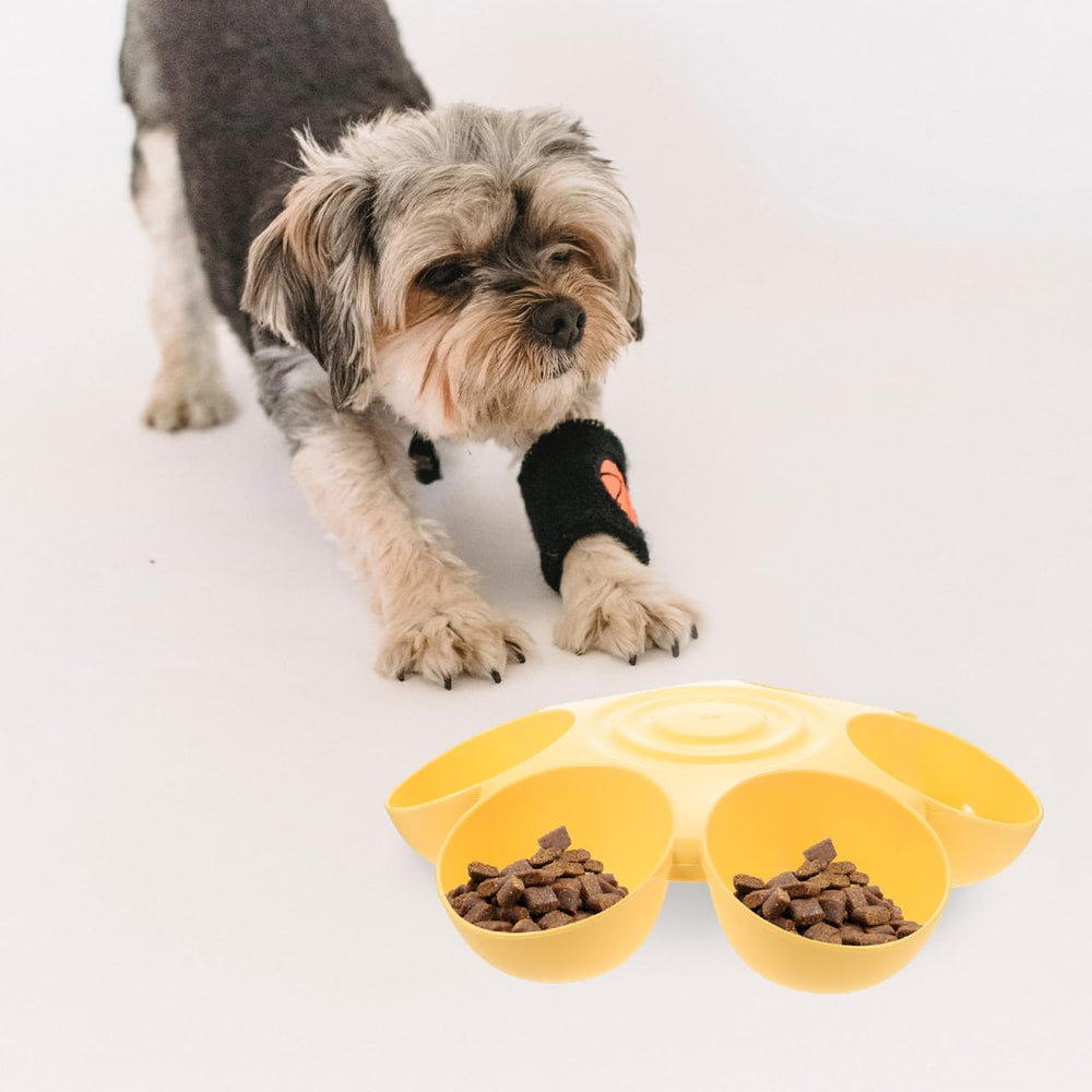 POPETPOP petal-shaped-layout creates an engaging multi-pet mealtime arrangement.