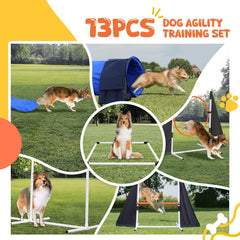 POPMOON collapsible tunnel folds for indoor or outdoor agility sessions.