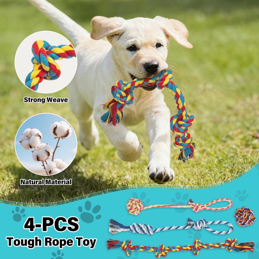 Popoko Flirt Pole 4-rope-toys provide varied play and bite-friendly rewards.