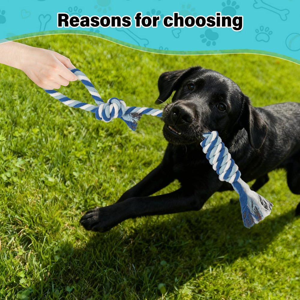 Popoko Flirt Pole backyard-play promotes canine fitness and focus outdoors.