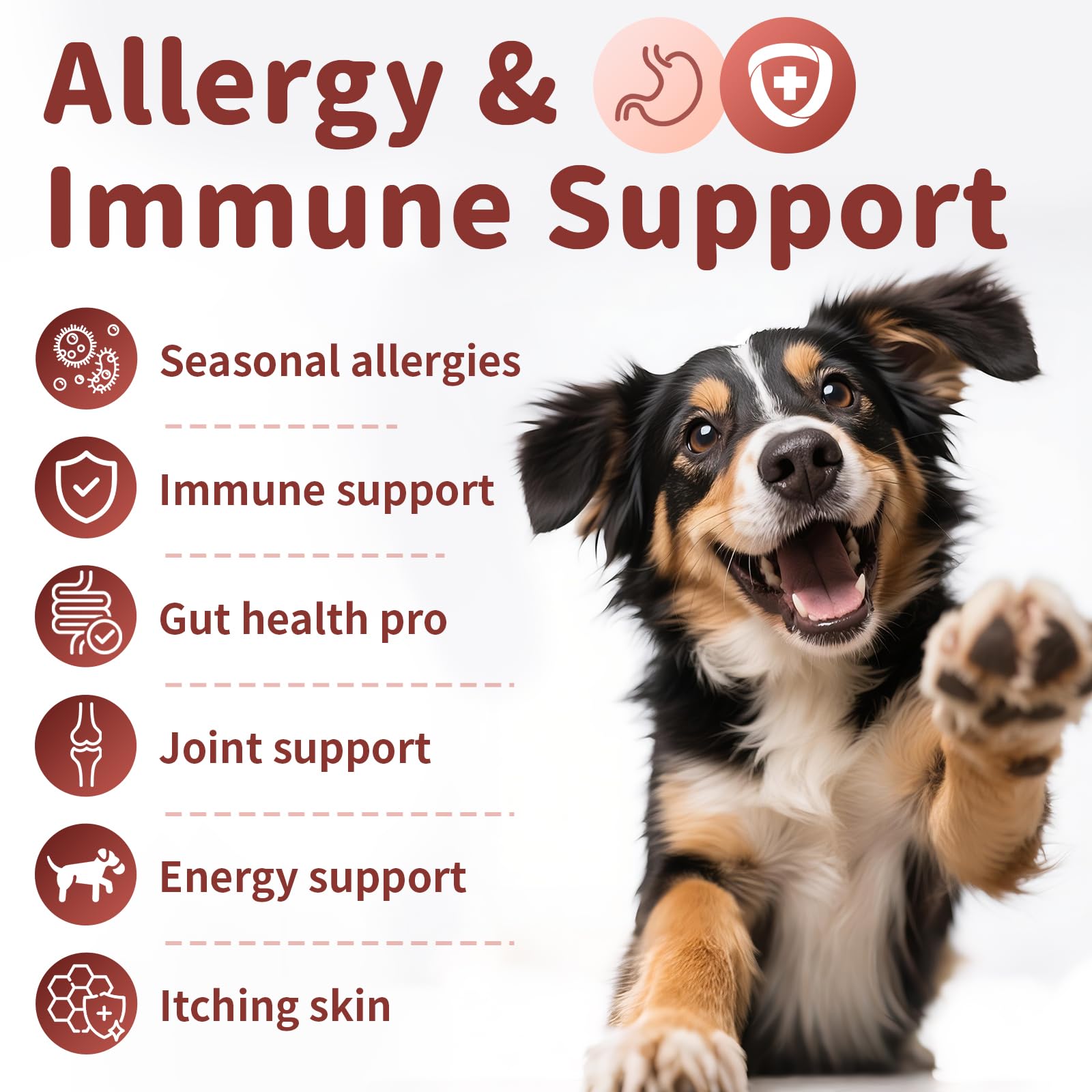 Poppaw allergy chews bacon flavor closeup emphasizes tasty, easy administration.