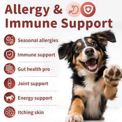 Poppaw allergy chews bacon flavor closeup emphasizes tasty, easy administration.