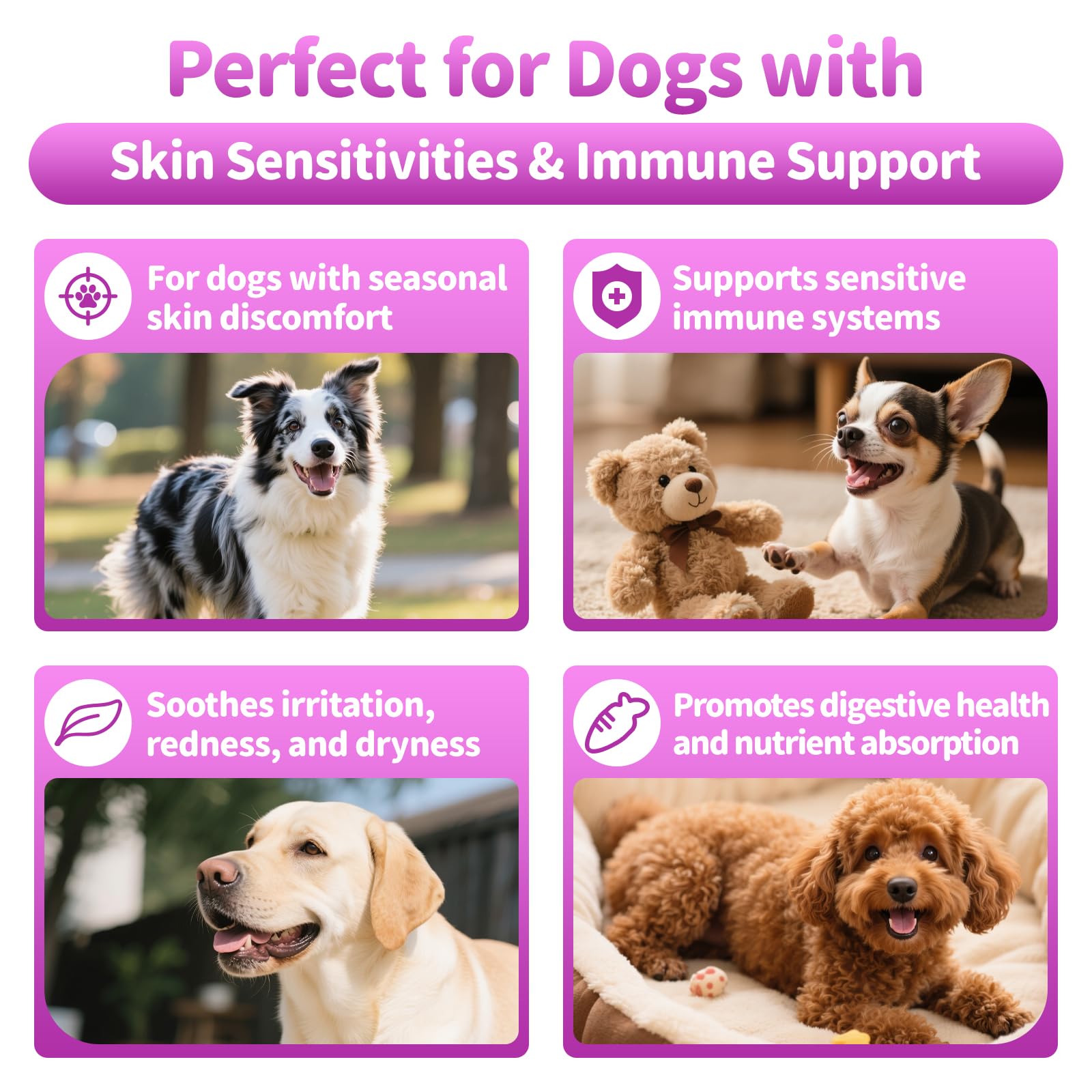 POPPAW Allergy Chews dog eating demonstrates a tasty beef-flavored chew for daily immune and skin support.