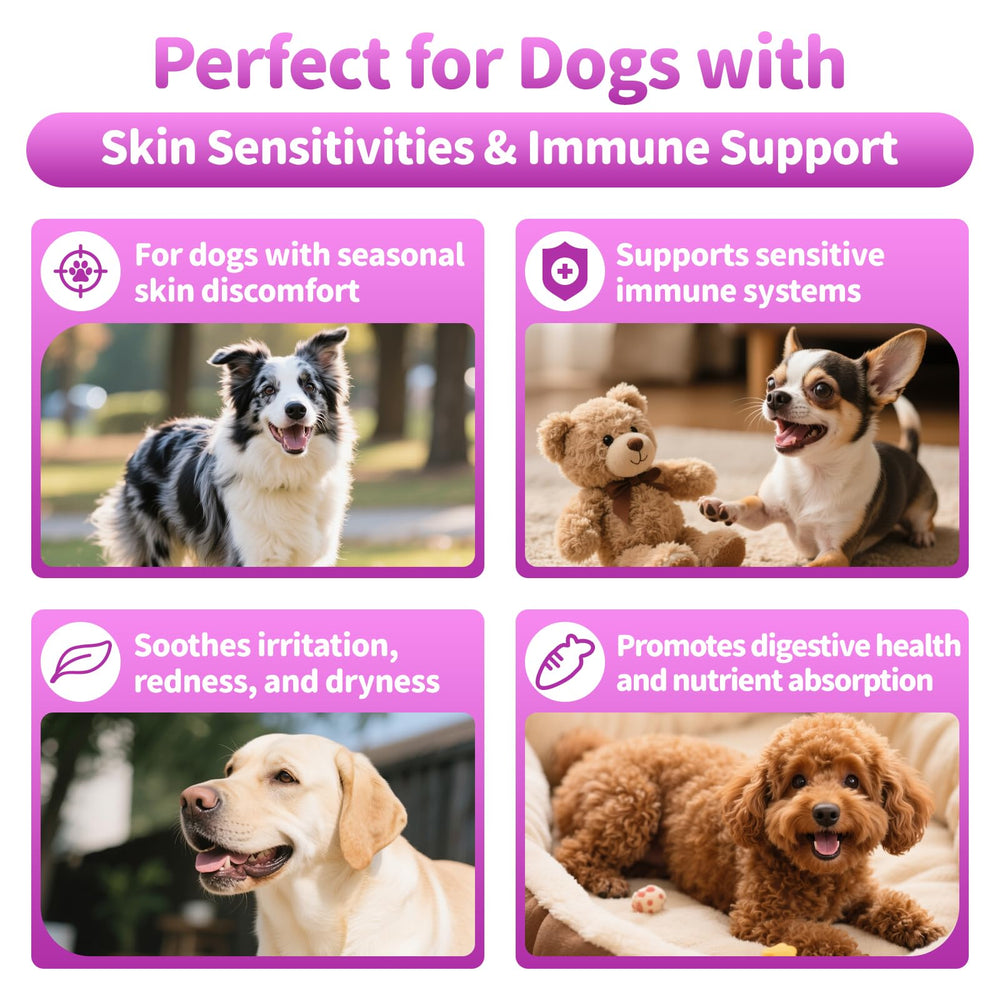 POPPAW Allergy Chews dog eating demonstrates a tasty beef-flavored chew for daily immune and skin support.