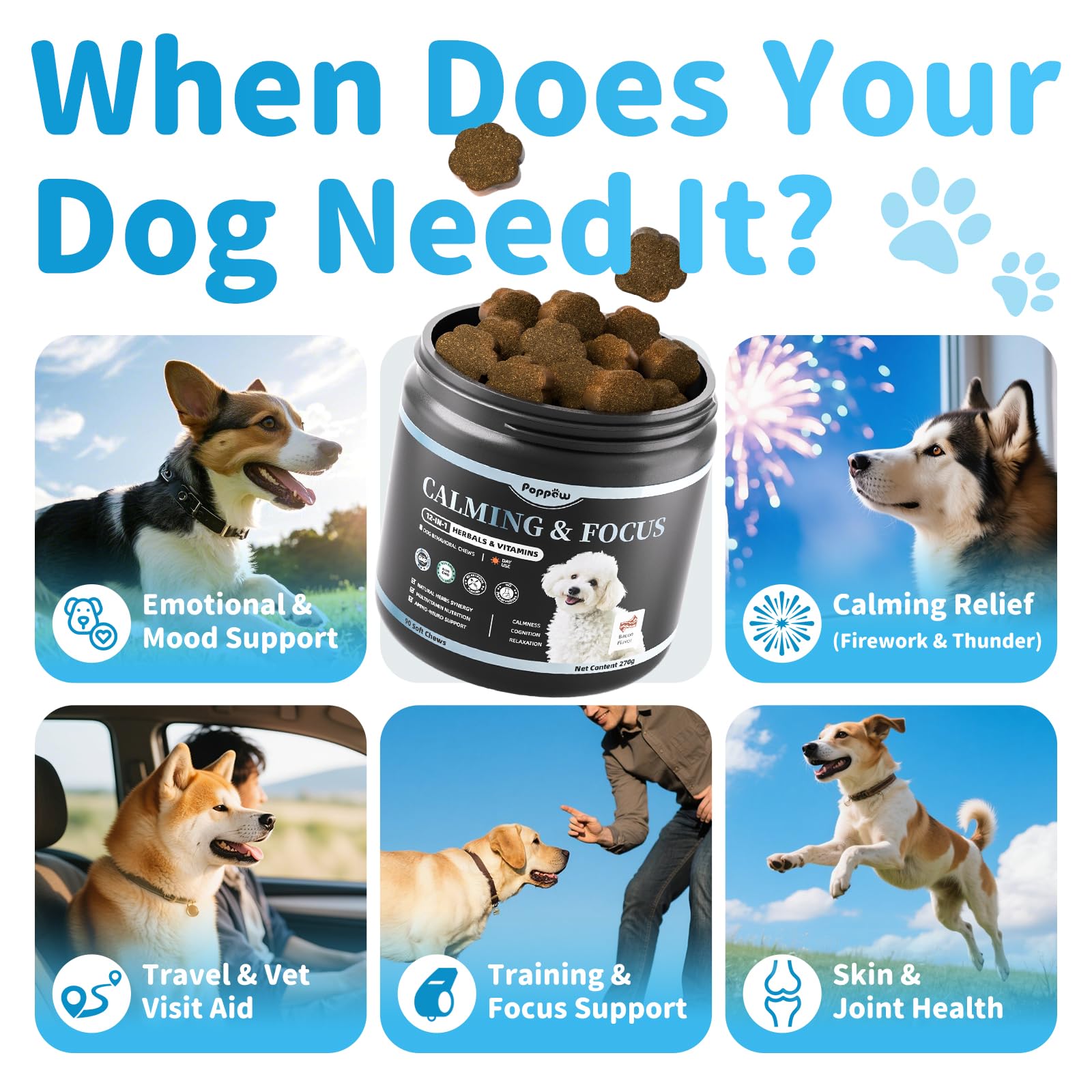 POPPAW Calming Chews during dog training for daytime focus without sedative effects.