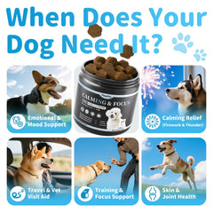 POPPAW Calming Chews during dog training for daytime focus without sedative effects.