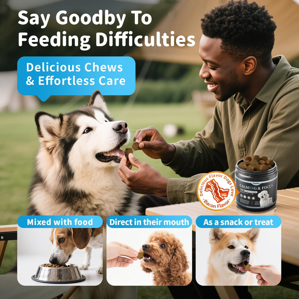 POPPAW Calming Chews travel scene for calm during trips and outings.