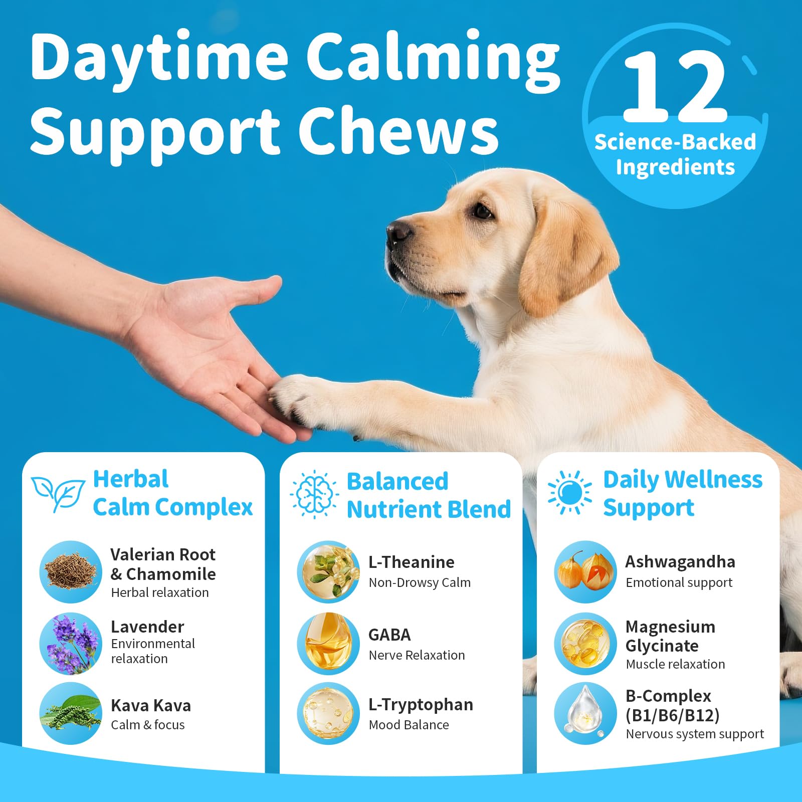 POPPAW Calming Chews soft chews close-up highlighting bacon flavor appeal.