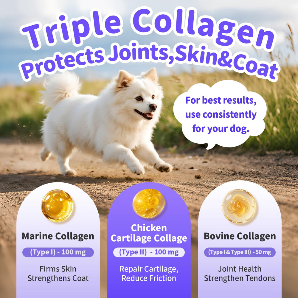 POPPAW Collagen for Dogs dropper enables precise servings for skin and coat care.