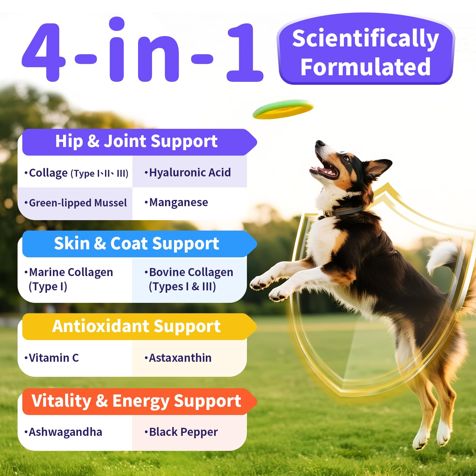 POPPAW Collagen for Dogs image of food-mixing to blend into meals easily.