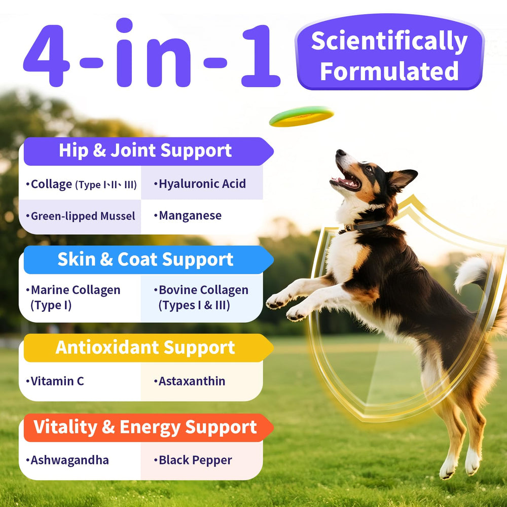 POPPAW Collagen for Dogs image of food-mixing to blend into meals easily.