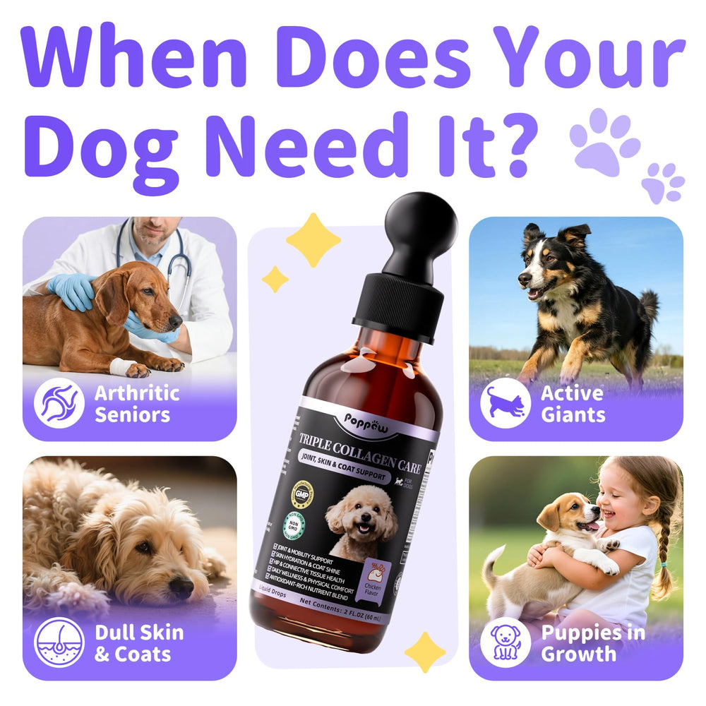 POPPAW Collagen for Dogs joint-support shot suggests comfortable movement for active dogs.