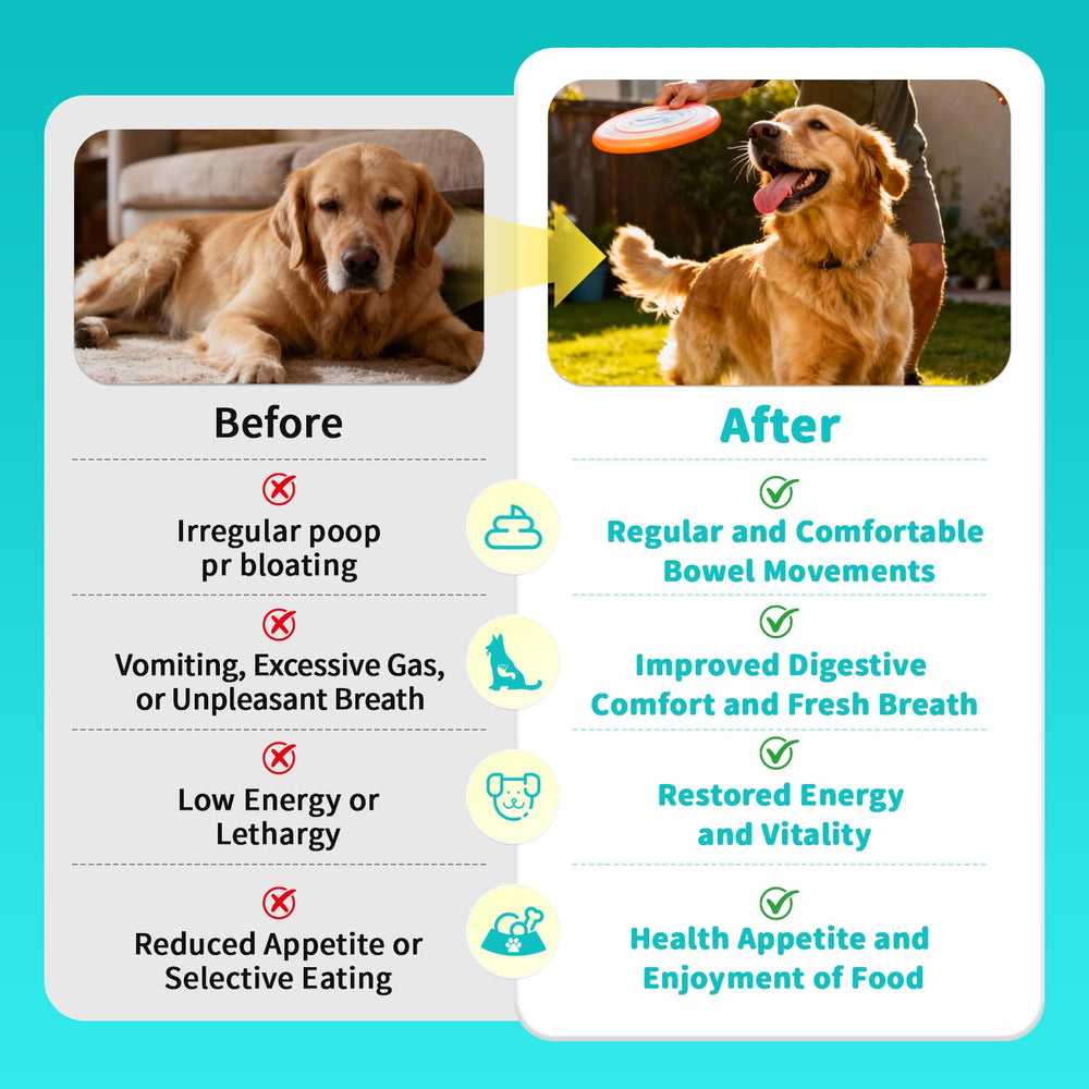 POPPAW digestive enzymes dog supplement pack demonstrates enzyme blend for nutrient utilization.