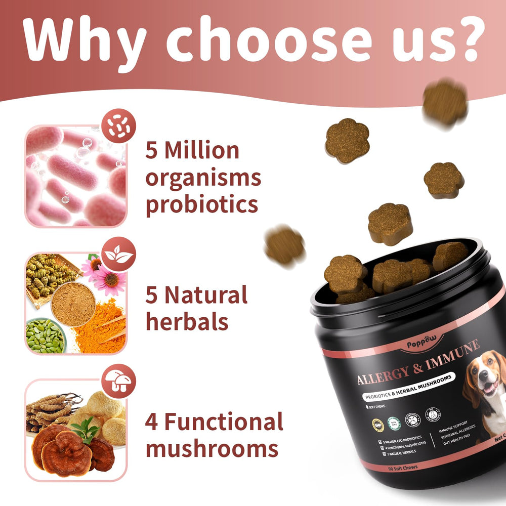 Poppaw dog eating allergy chews shows palatable daily use.
